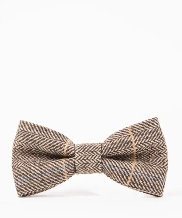 Papillon Ted in tweed color cammello